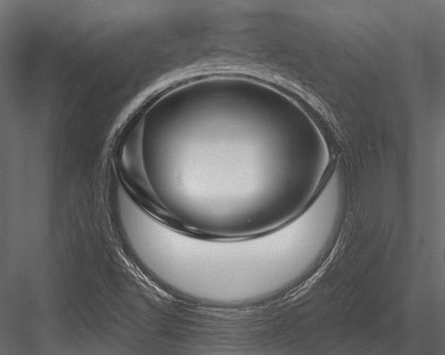 X0000084571502200702231245
