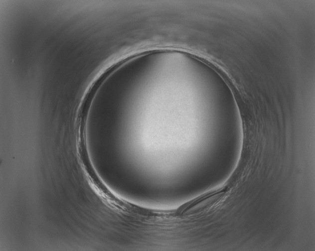 X0000084571511200702231245