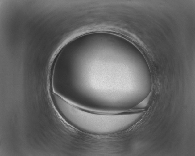 X0000084571512200702231245