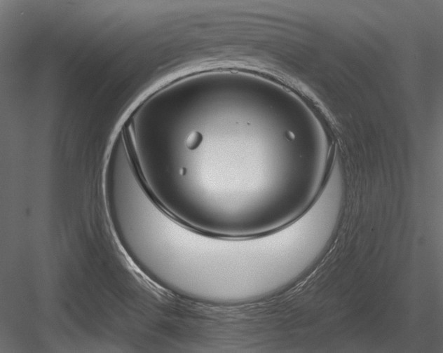 X0000084571516200702231245
