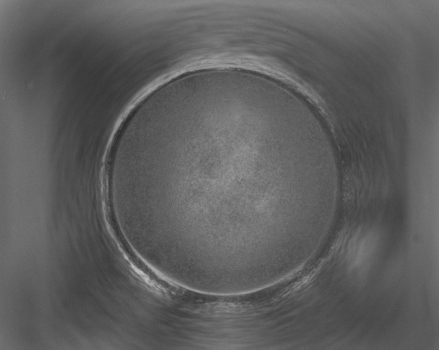 X0000084571517200702231245
