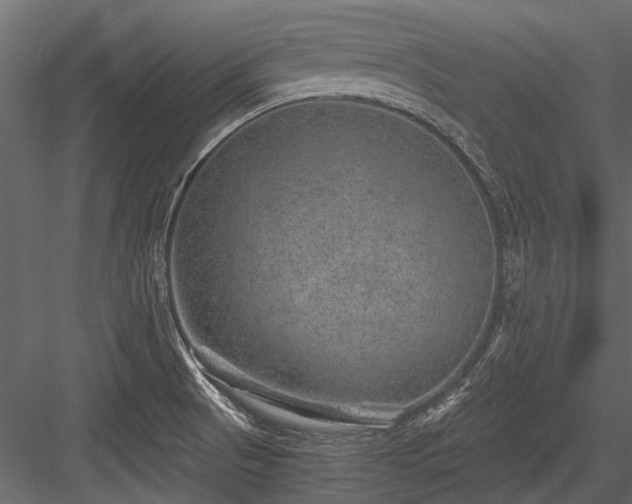 X0000084571521200702231245