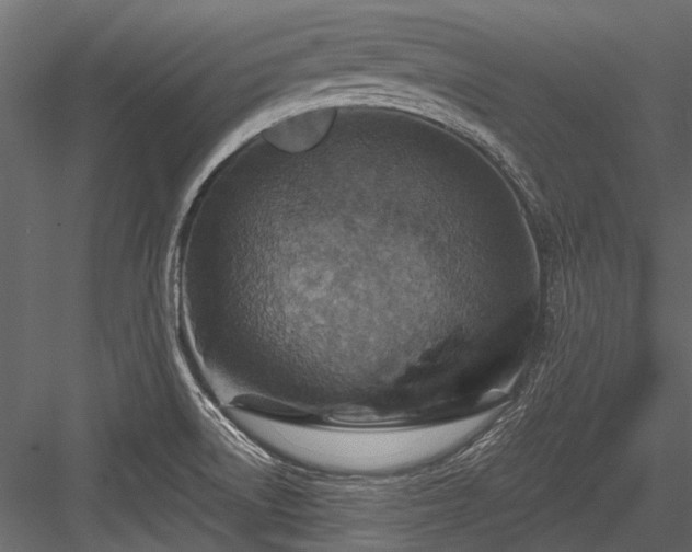 X0000084571522200702231245