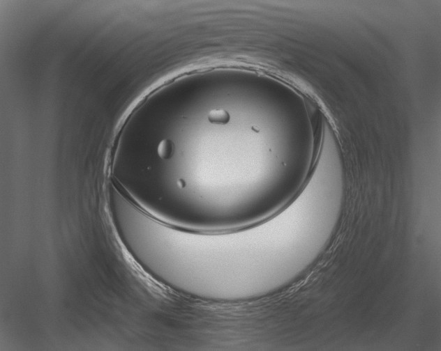 X0000084571524200702231245