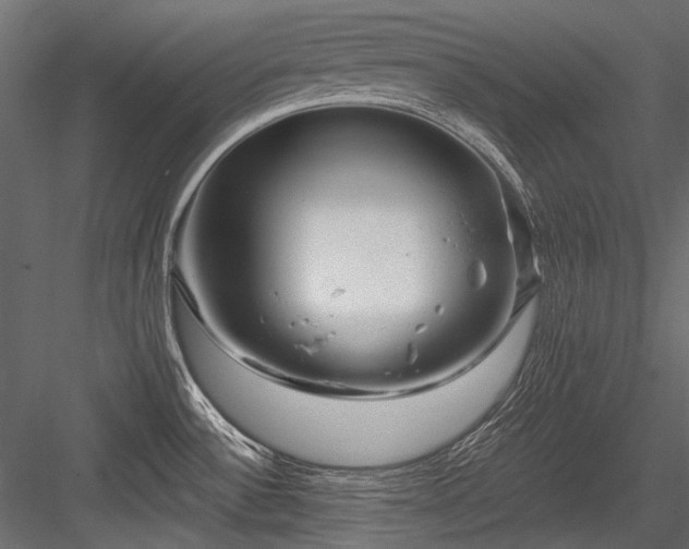 X0000084571532200702231245