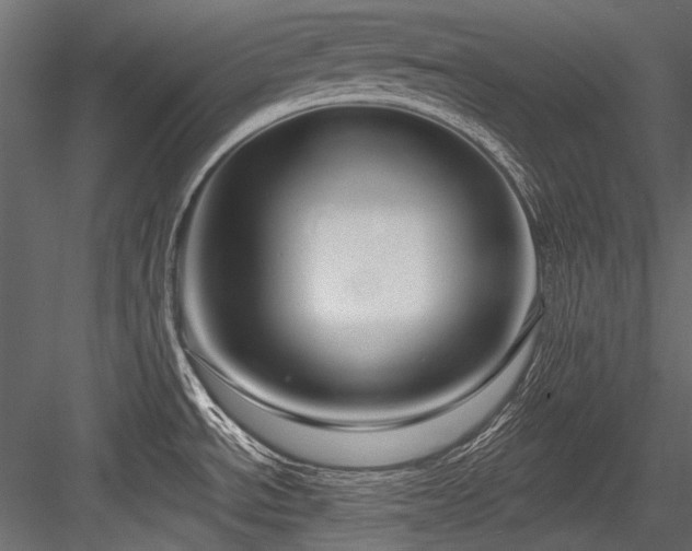 X0000084571534200702231245
