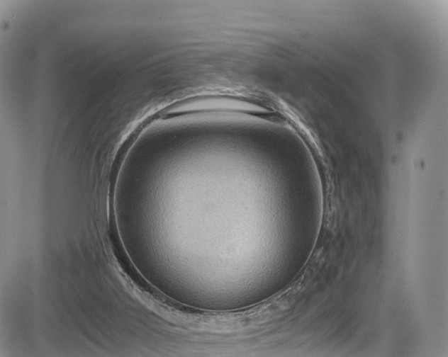 X0000084570011200703021501