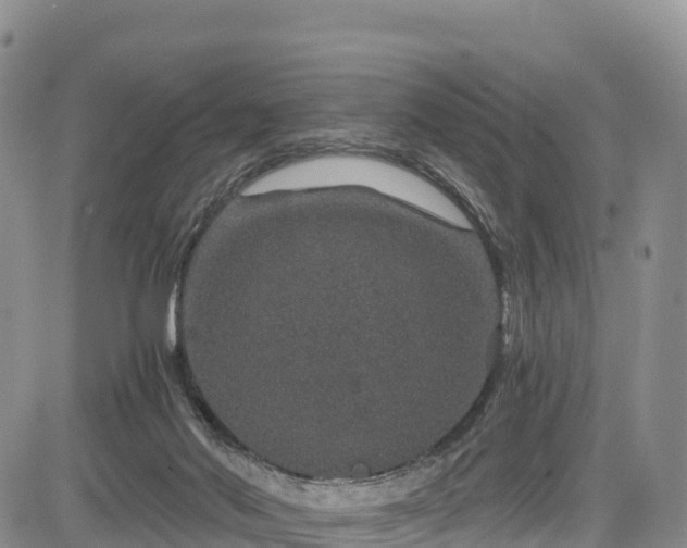 X0000084570022200703021501