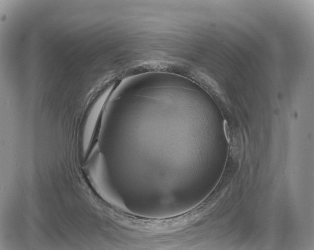 X0000084570023200703021501