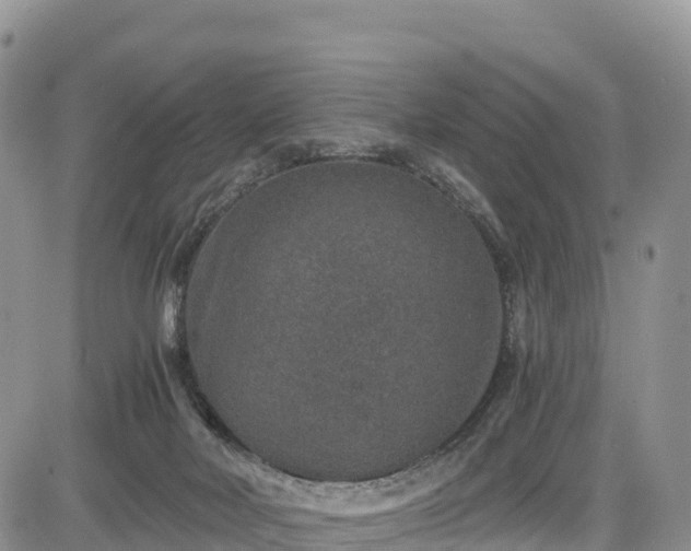 X0000084570026200703021501