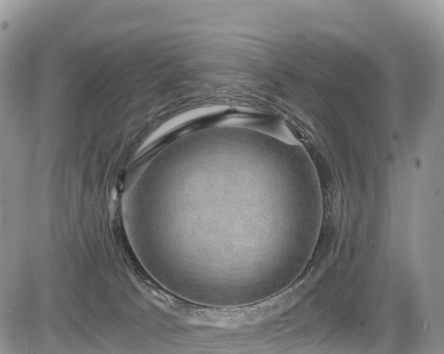 X0000084570033200703021501