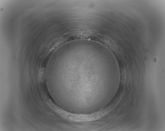 X0000084570034200703021501