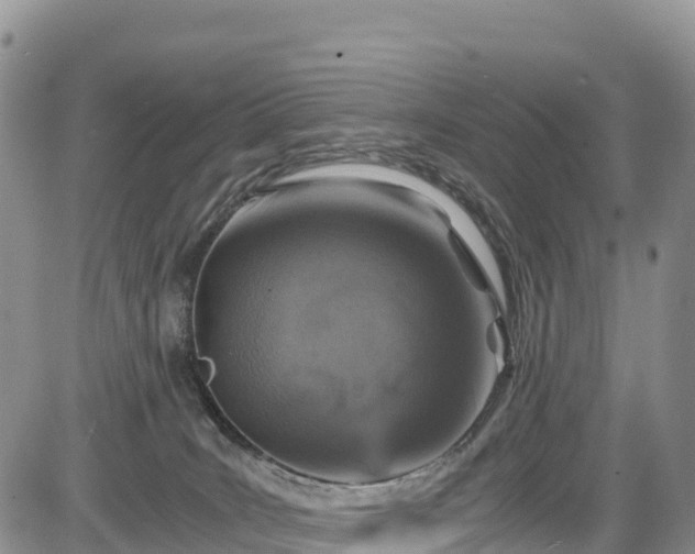X0000084570035200703021501