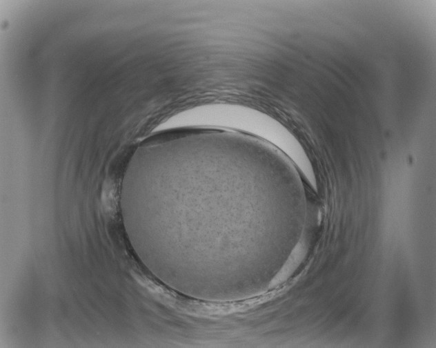 X0000084570037200703021500