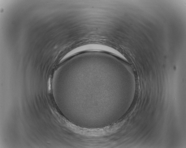 X0000084570042200703021500