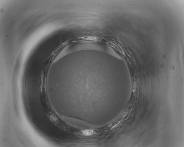 X0000084570052200703021500