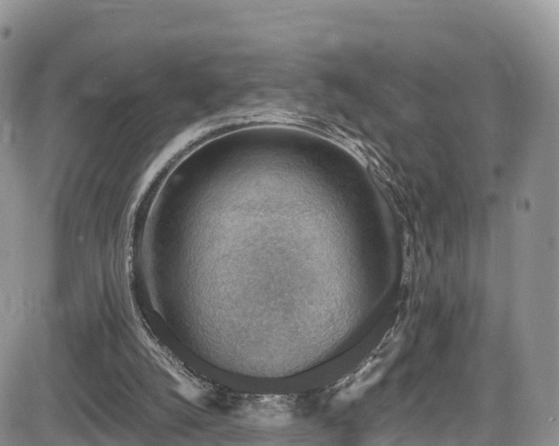 X0000084570056200703021500