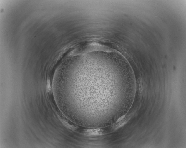 X0000084570089200703021500