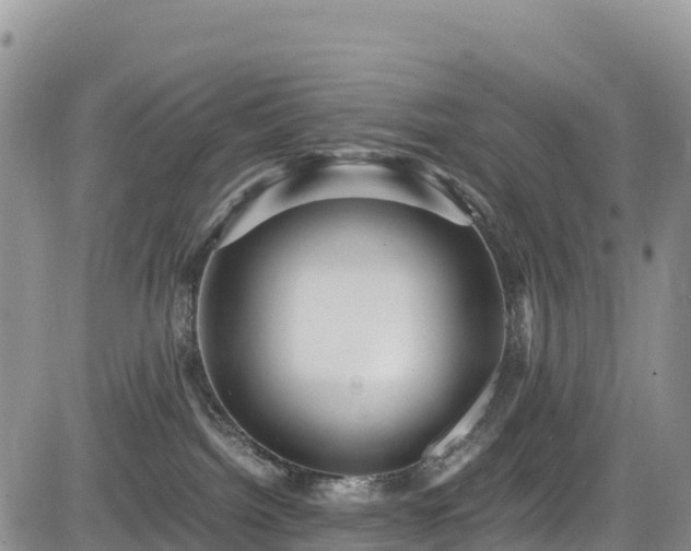X0000084570092200703021500