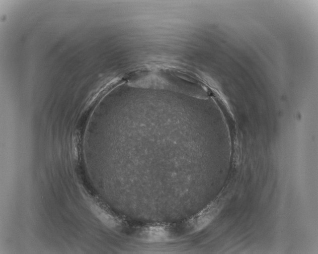 X0000084570114200703021459