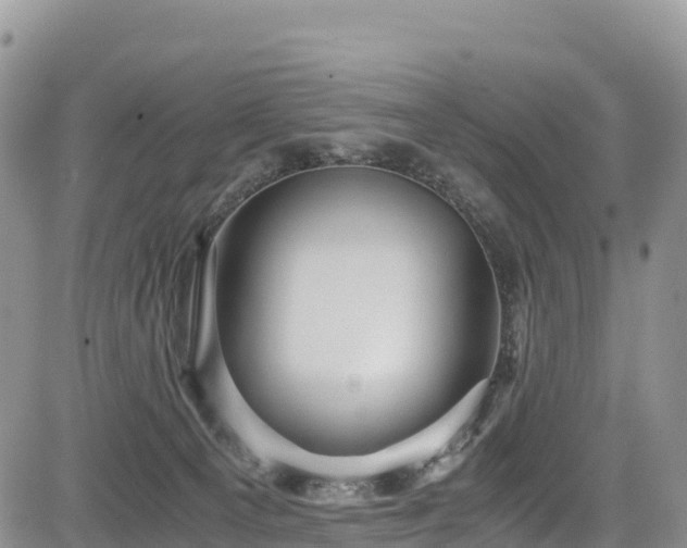 X0000084570129200703021459