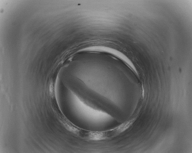 X0000084570143200703021459