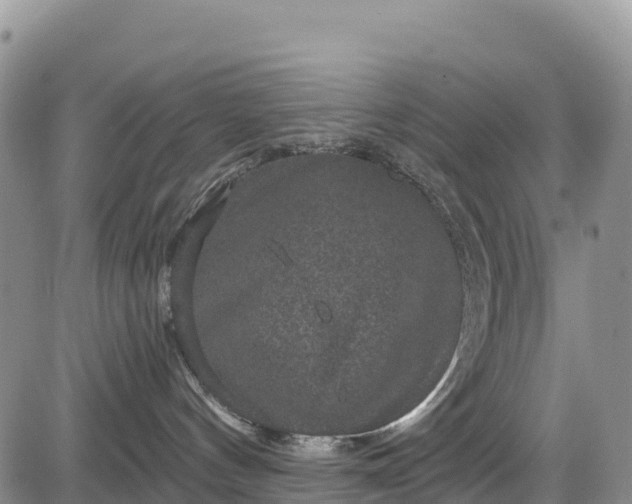 X0000084570144200703021459