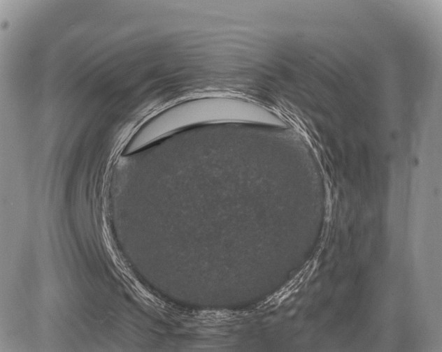 X0000084570145200703021458