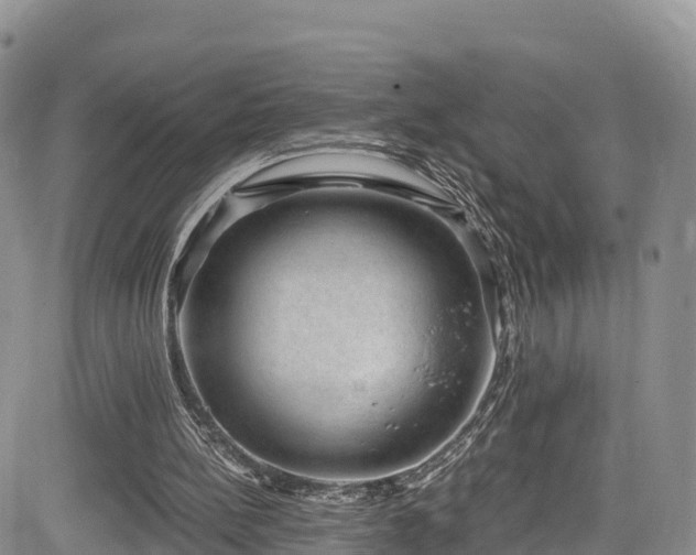 X0000084570148200703021458