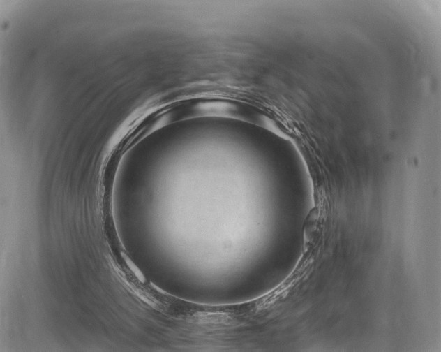 X0000084570150200703021458