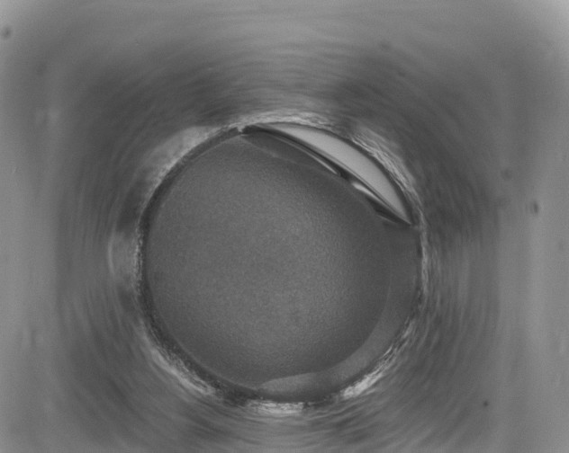 X0000084570156200703021458