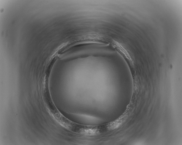 X0000084570163200703021458