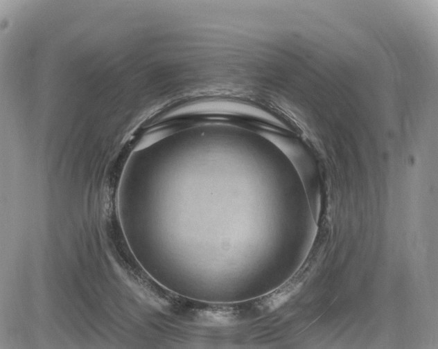 X0000084570164200703021458