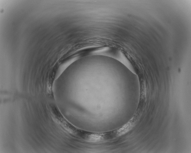 X0000084570176200703021458