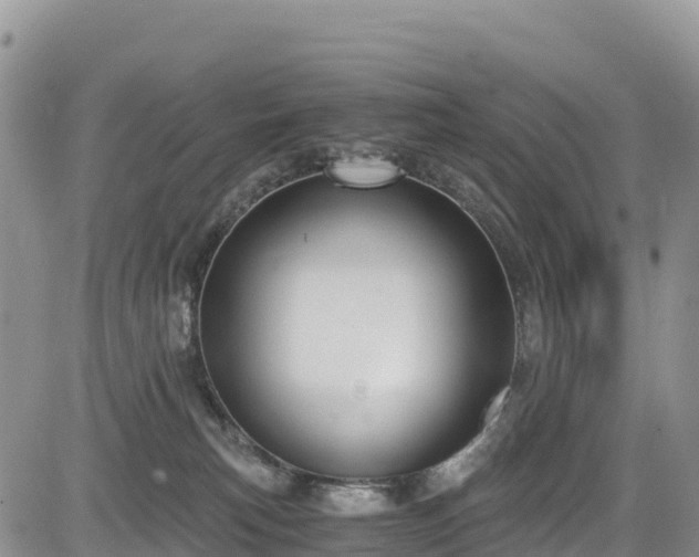 X0000084570183200703021459