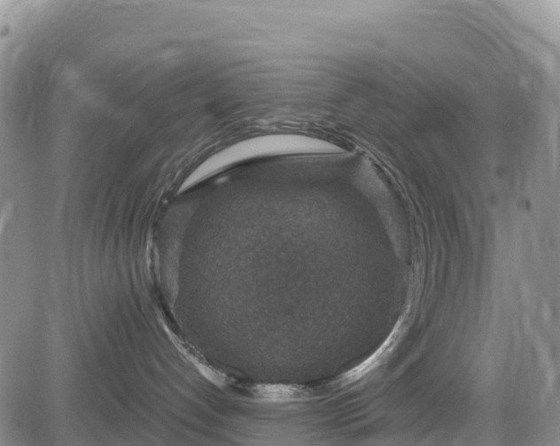 X0000084570192200703021459