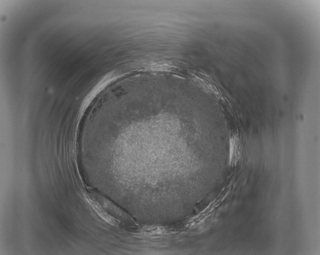 X0000084570195200703021458