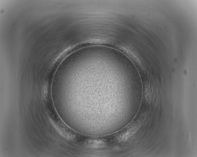 X0000084570208200703021458