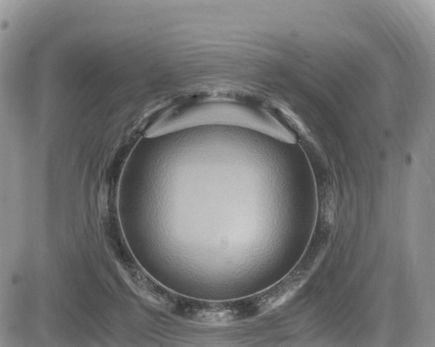 X0000084570213200703021458