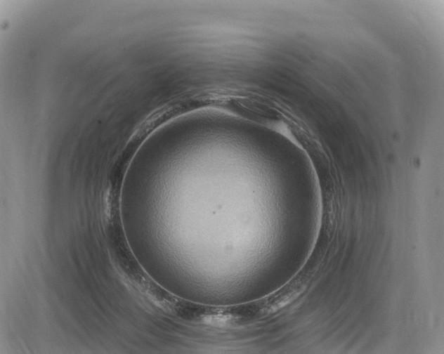 X0000084570216200703021458