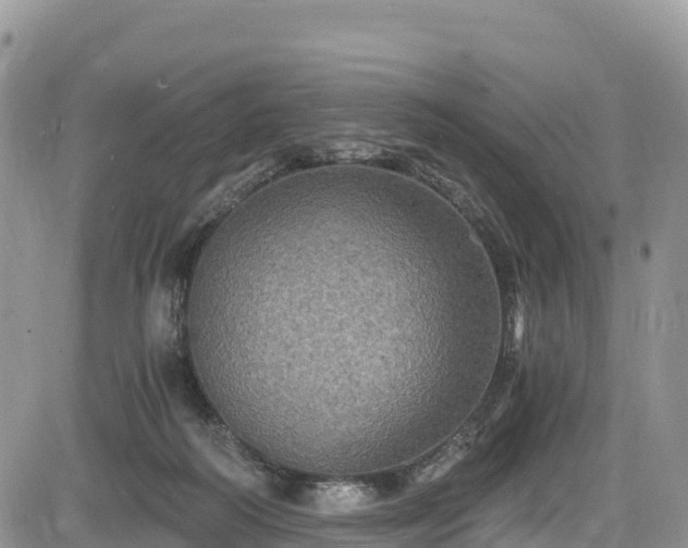 X0000084570218200703021457