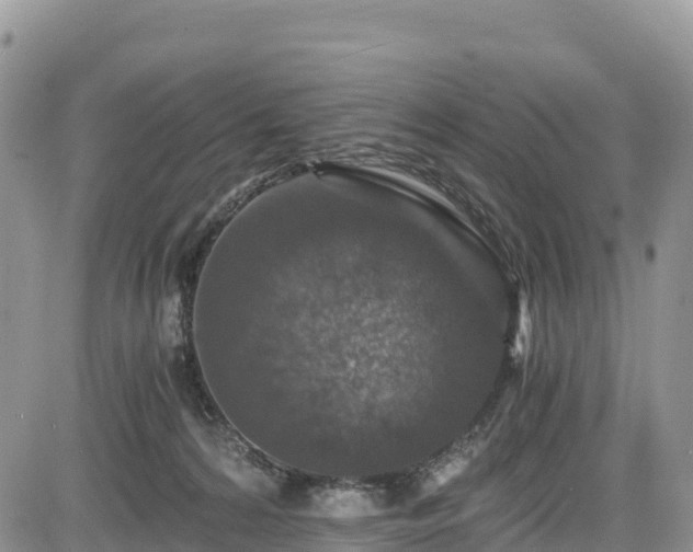 X0000084570224200703021457