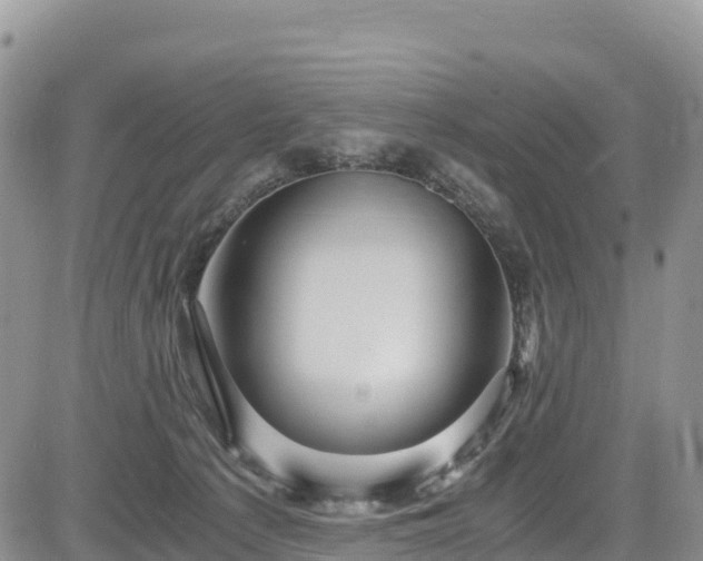 X0000084570225200703021457