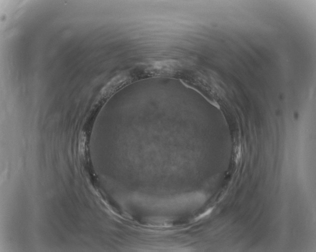 X0000084570231200703021457