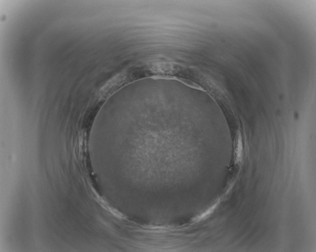 X0000084570233200703021457