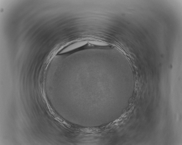 X0000084570241200703021456