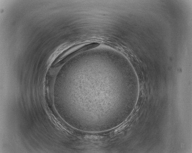 X0000084570242200703021456