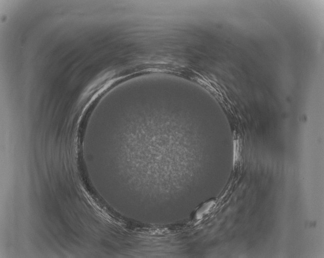 X0000084570243200703021456