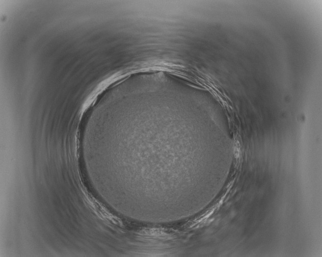 X0000084570244200703021456