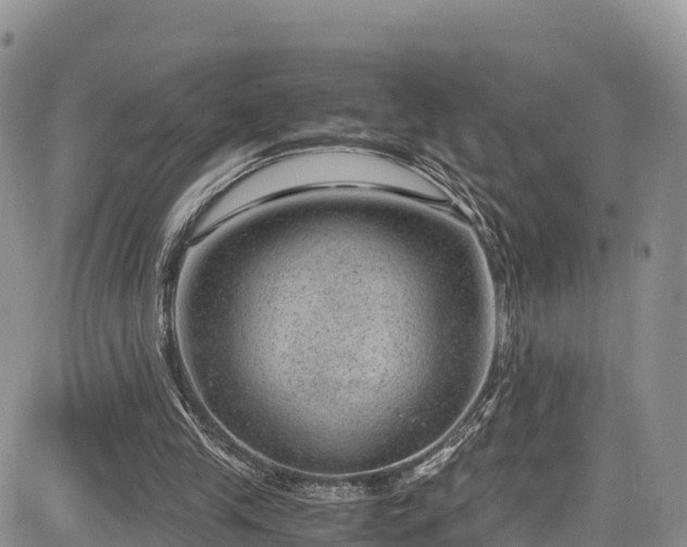 X0000084570245200703021456